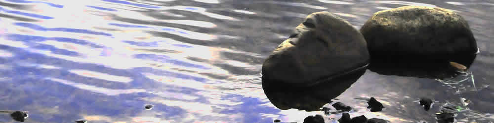 Rocks on the shore in the Kearney Area